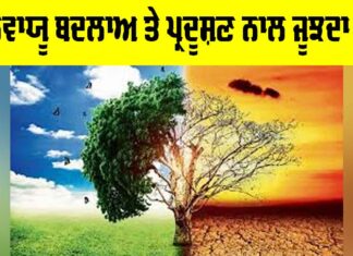 Pollution Crisis India: ਜਲਵਾਯੂ ਬਦਲਾਅ ਅਤੇ ਪ੍ਰਦੂਸ਼ਣ ਨਾਲ ਜੂਝਦਾ ਦੇਸ਼ Pollution Crisis India