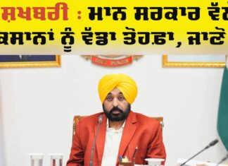 Punjab News: ਮਾਨ ਸਰਕਾਰ ਵੱਲੋਂ ਕਿਸਾਨਾਂ ਨੂੰ ਵੱਡਾ ਤੋਹਫਾ Punjab News