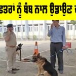 Punjab Bomb Threat News