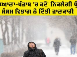 Punjab Haryana Weather Update