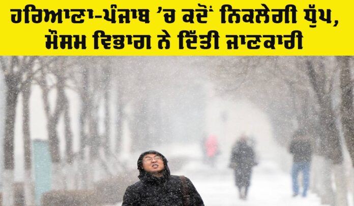 Punjab Haryana Weather Update