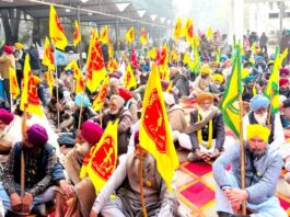 Punjab Protest: ਸੰਯੁਕਤ ਕਿਸਾਨ ਮੋਰਚਾ ਅਤੇ ਹੋਰ ਇਨਕਲਾਬੀ ਜਥੇਬੰਦੀਆਂ ਦੀ ਅਗਵਾਈ ’ਚ ਡੀਸੀ ਦਫ਼ਤਰ ਵਿਖੇ ਕੀਤਾ ਰੋਸ ਪ੍ਰਦਰਸ਼ਨ Punjab Protest