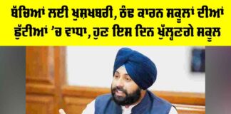 Punjab School Holidays