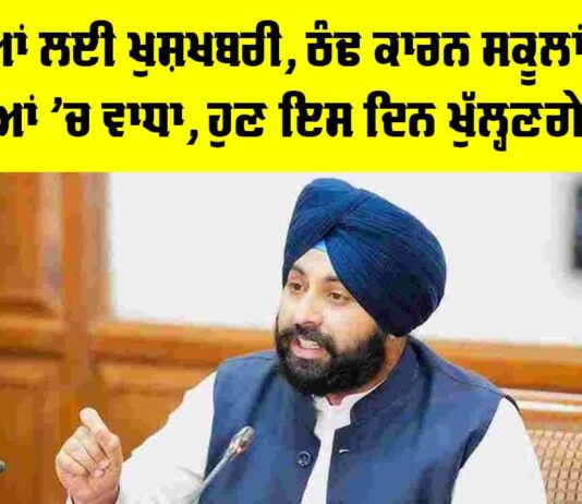 Punjab School Holidays