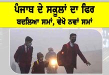 Punjab School Timings