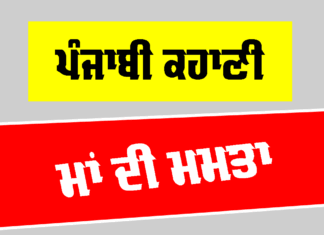 ਮਾਂ ਦੀ ਮਮਤਾ (ਪੰਜਾਬੀ ਕਹਾਣੀ) Punjabi Story