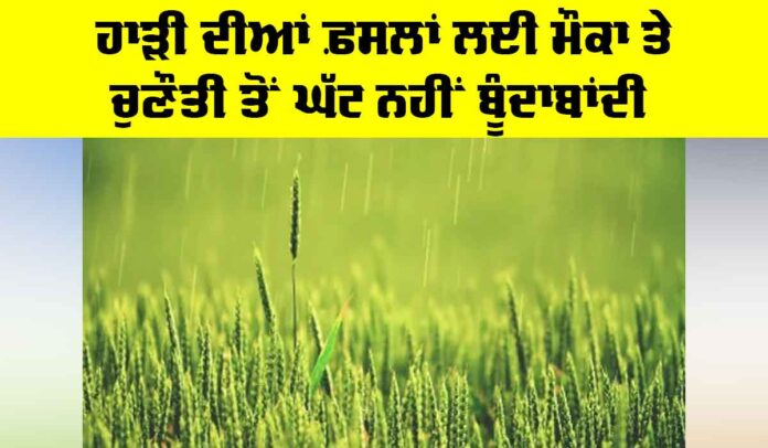 Rabi Crops