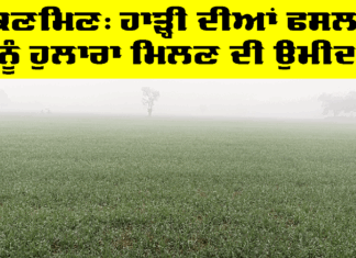 ਪੰਜਾਬ ਦੇ ਕਈ ਜ਼ਿਲ੍ਹਿਆਂ ’ਚ ਕਿਣਮਿਣ, ਹਾੜ੍ਹੀ ਦੀਆਂ ਫਸਲਾਂ ਨੂੰ ਹੁਲਾਰਾ ਮਿਲਣ ਦੀ ਉਮੀਦ Rain in Punjab