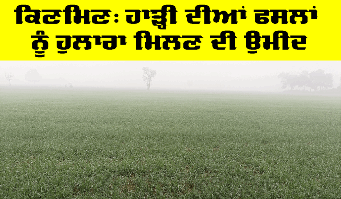 Rain-in-punjab Rain in Punjab