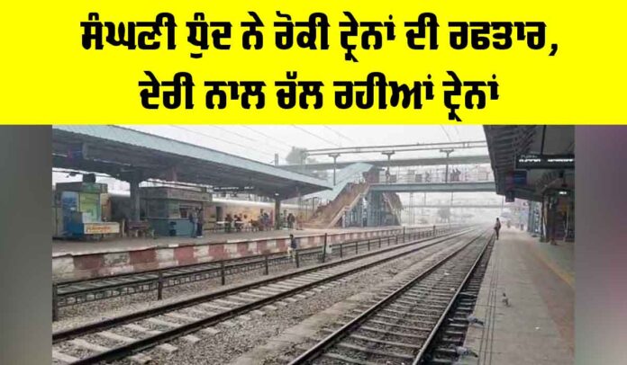 Rajasthan News Rajasthan News