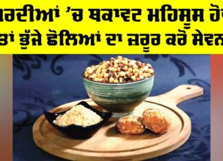 Roasted Chickpeas Benefits: ਸਰਦੀਆਂ ’ਚ ਥਕਾਵਟ ਮਹਿਸੂਸ ਹੋਵੇ ਤਾਂ ਭੁੱਜੇ ਛੋਲਿਆਂ ਦਾ ਜ਼ਰੂਰ ਕਰੋ ਸੇਵਨ Roasted Chickpeas Benefits