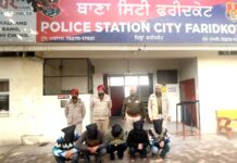 Robbery Gang Busted: ਲੁੱਟ-ਖੋਹ ਕਰਨ ਵਾਲੇ ਪੰਜ ਵਿਅਕਤੀਆਂ ਨੂੰ ਤੇਜ਼ਧਾਰ ਹਥਿਆਰਾਂ ਸਮੇਤ ਕੀਤਾ ਕਾਬੂ Robbery Gang Busted