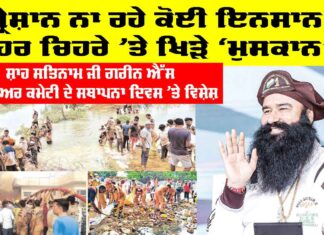 25th Foundation Day Green S