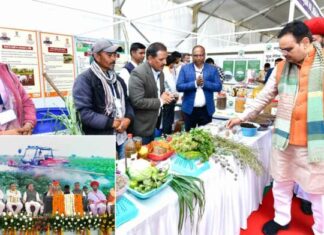 Chief Minister of Rajasthan: ਰਾਜਸਥਾਨ ਦੇ ਮੁੱਖ ਮੰਤਰੀ ਭਜਨ ਲਾਲ ਸ਼ਰਮਾ ਨੇ ਸਾਬਕਾ ਮੁੱਖ ਮੰਤਰੀ ਨੂੰ ਦਿੱਤਾ ਢੁੱਕਵਾਂ ਜਵਾਬ Chief Minister of Rajasthan