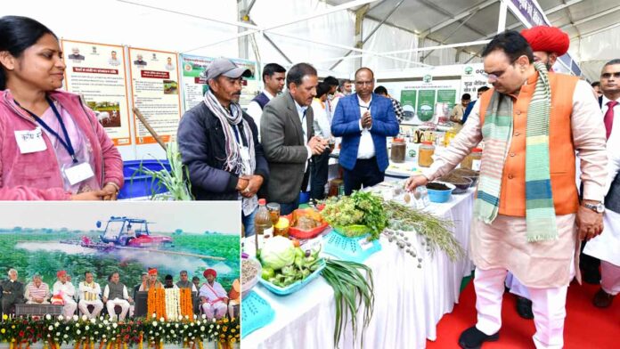 Sirohi-News-696x392 Chief Minister of Rajasthan