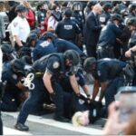 US Immigration Cases