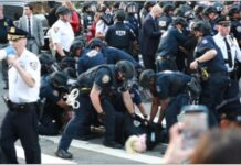 US Immigration Cases