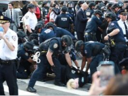 US Immigration Cases