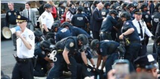 US Immigration Cases