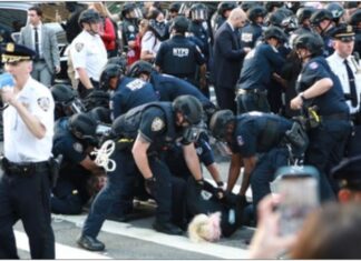 US Immigration Cases