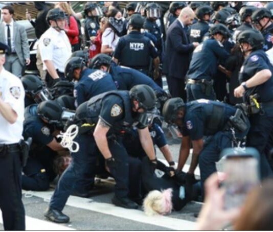 US Immigration Cases