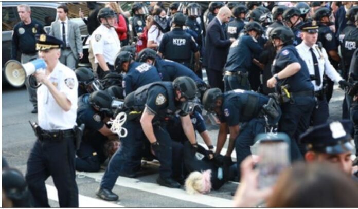 US Immigration Cases