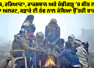 Weather Alert: ਪੰਜਾਬ, ਹਰਿਆਣਾ, ਰਾਜਸਥਾਨ ਤੇ ਚੰਡੀਗੜ੍ਹ ’ਚ ਸੀਤ ਲਹਿਰ ਦਾ ਅਲਰਟ, ਅਗਲੇ ਇਹ ਦੋ ਦਿਨ ਸੰਭਾਲ ਲਈ ਜ਼ਰੂਰੀ Weather Alert