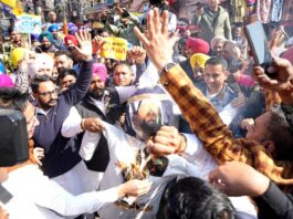 AAP Protest Punjab