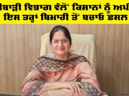 Agriculture Department Punjab