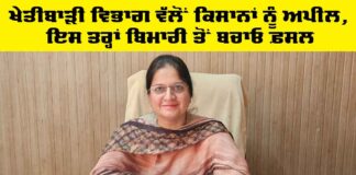 Agriculture Department Punjab