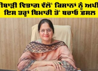 Agriculture Department Punjab