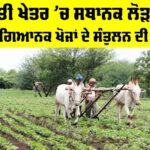 Agriculture Local Needs: ਖੇਤੀ ਖੇਤਰ ’ਚ ਸਥਾਨਕ ਲੋੜਾਂ ਤੇ ਵਿਗਿਆਨਕ ਖੋਜਾਂ ਦੇ ਸੰਤੁਲਨ ਦੀ ਲੋੜ Agriculture Local Needs