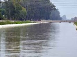 Bathinda News: ਨਹਿਰ ’ਚ ਕੁੱਦੀ ਭਾਣਜੀ ਨੂੰ ਬਚਾਉਂਦੇ ਮਾਮੇ ਦੀ ਡੁੱਬਣ ਨਾਲ ਮੌਤ Bathinda News