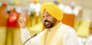 Bhagwant Mann News