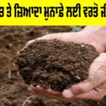Bio Fertilizers Benefits