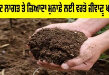 Bio Fertilizers Benefits