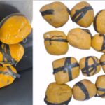 Drug Smuggling Punjab