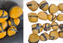 Drug Smuggling Punjab