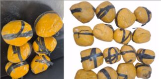 Drug Smuggling Punjab