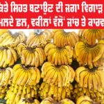 Food And Safety: ਸਾਵਧਾਨ! ਕਿਤੇ ਸਿਹਤ ਬਣਾਉਣ ਦੀ ਜਗ੍ਹਾ ਵਿਗਾੜ ਤਾਂ ਨਹੀਂ ਰਹੇ ਬਜ਼ਾਰ ‘ਚ ਮਿਲਦੇ ਫ਼ਲ, ਵਕੀਲਾਂ ਵੱਲੋਂ ਜਾਂਚ ਤੇ ਕਾਰਵਾਈ ਦੀ ਮੰਗ Food And Safety