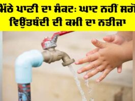 Freshwater Crisis: ਮਿੱਠੇ ਪਾਣੀ ਦਾ ਸੰਕਟ, ਘਾਟ ਨਹੀਂ ਸਗੋਂ ਵਿਉਂਤਬੰਦੀ ਦੀ ਕਮੀ ਦਾ ਨਤੀਜਾ Freshwater Crisis