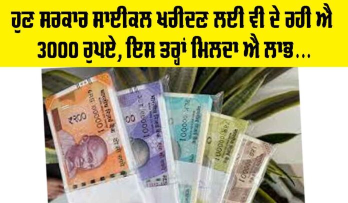 Government-News Government News