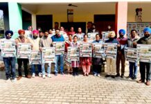 Government School Admissions