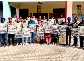 Government School Admissions