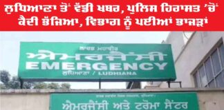 Ludhiana Police Custody News