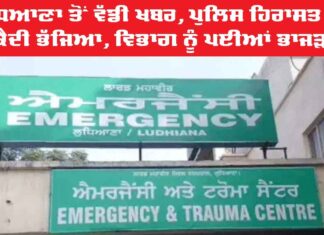 Ludhiana Police Custody News