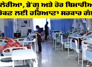 Malaria and Dengue: ਮਲੇਰੀਆ, ਡੇਂਗੂ ਤੇ ਹੋਰ ਬਿਮਾਰੀਆਂ ਨੂੰ ਰੋਕਣ ਲਈ ਹਰਿਆਣਾ ਸਰਕਾਰ ਗੰਭੀਰ