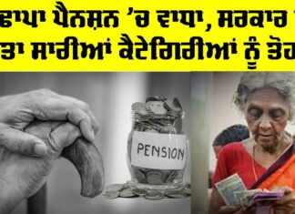 Old Age Pension: ਬੁਢਾਪਾ ਪੈਨਸ਼ਨ ’ਚ ਵਾਧਾ, ਸਰਕਾਰ ਨੇ ਦਿੱਤਾ ਸਾਰੀਆਂ ਕੈਟੇਗਿਰੀਆਂ ਨੂੰ ਤੋਹਫ਼ਾ Old Age Pension