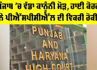 PSPCL Legal Case: ਪੰਜਾਬ ‘ਚ ਵੱਡਾ ਕਾਨੂੰਨੀ ਮੋੜ, ਹਾਈ ਕੋਰਟ ਨੇ ਪੀਐੱਸਪੀਸੀਐੱਲ ਦੀ ਵਿਕਰੀ ਰੋਕੀ PSPCL Legal Case