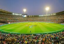 Punjab Cricket League